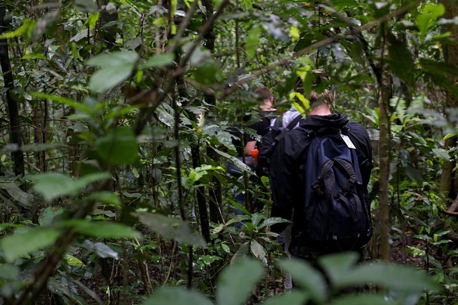 2 Days Chimpazee Safari in Kibale Forest Park Uganda. - Accommodations and Meals