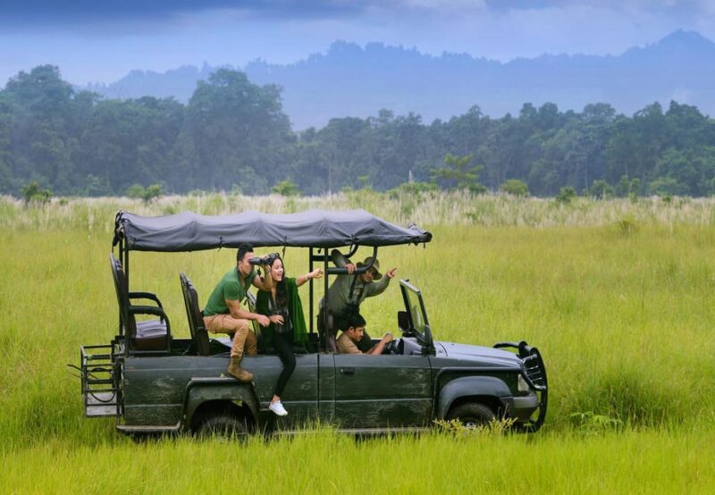 2 Days Chitwan Jungle Safari Tour From Pokhara/Kathmandu - Wildlife Experience