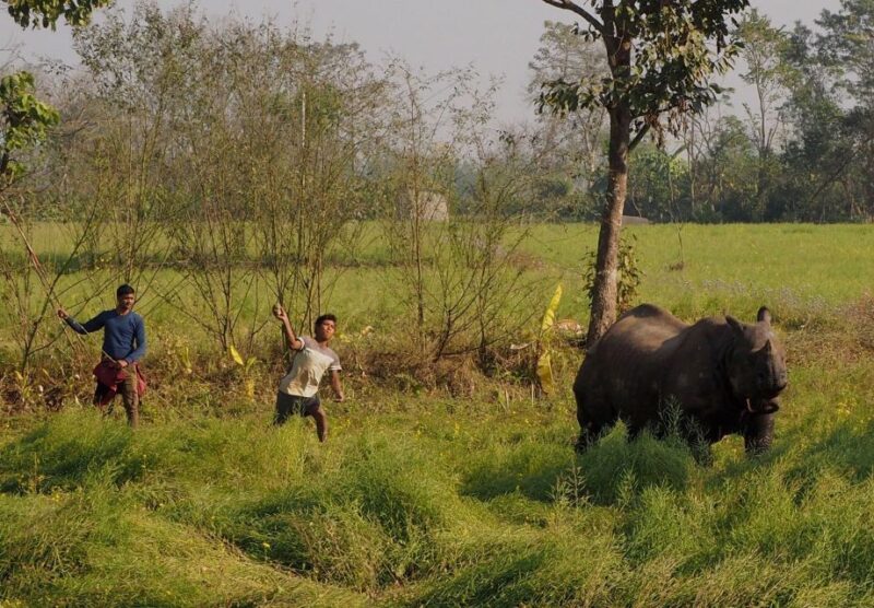 2 Days Chitwan Safari Tour - Key Points