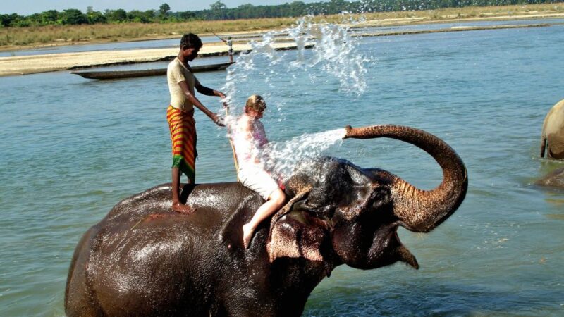 2 Days Chitwan Safari Tour - Cancellation Policy