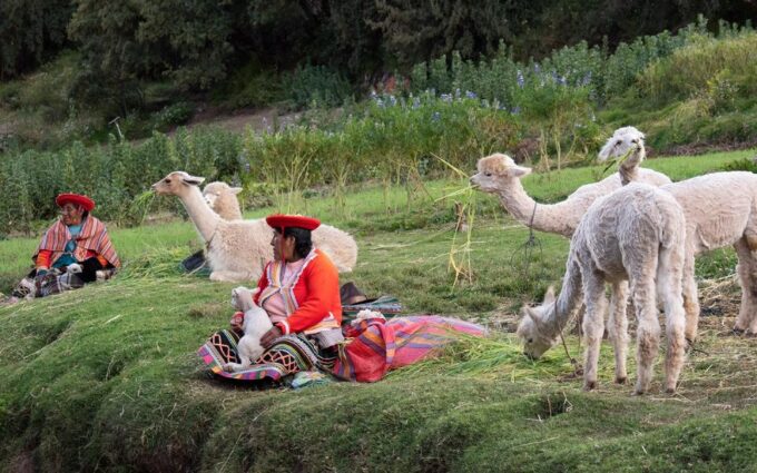 2 Days: City Tour in Cusco and Machupicchu Tour by Train - Experience Highlights