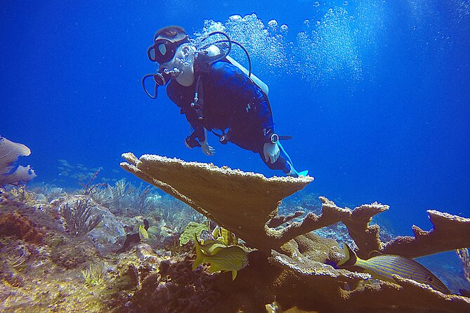 2 Days Class: SDI Open Water Diver Certification in Cancun - Pickup and Meeting