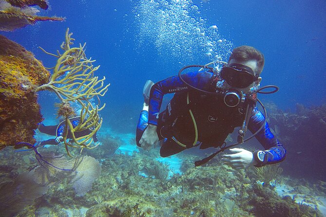 2 Days Class: SDI Open Water Diver Certification in Cancun - Reviews and Pricing