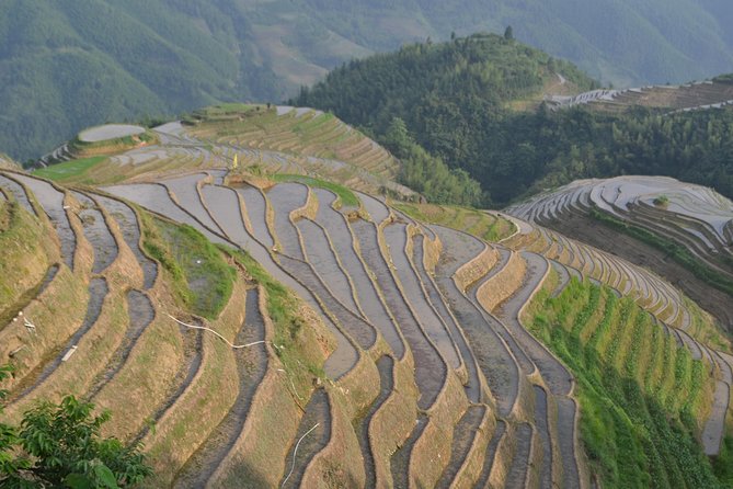 2 Days Classic Guilin Li River and Longji Rice Terraces Tour - Explore West Street in Yangshuo