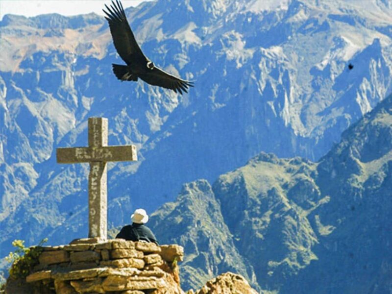 2 Days - Colca Canyon and Condor Tour From Arequipa - Itinerary Highlights