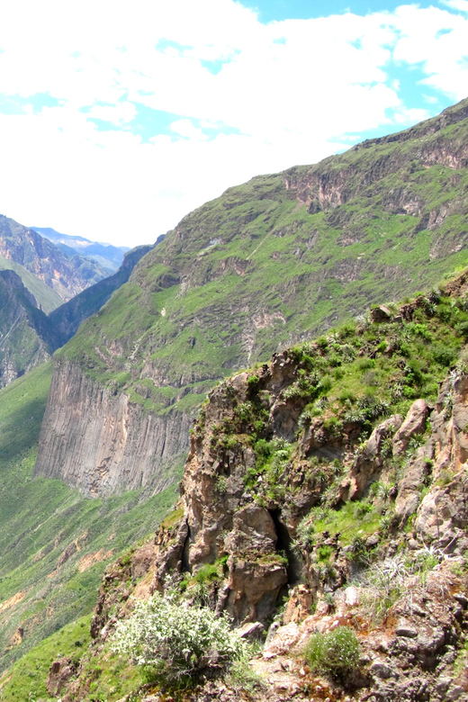 2 Days Colca Canyon Sightseeing Tour Ending in Puno Hotel*** - Inclusions