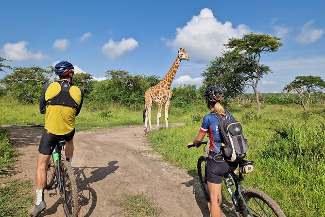 2 Days Cycling Safari To Lake Mburo National Park - Accommodation and Logistics