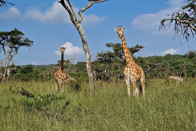 2 Days Cycling Safari To Lake Mburo National Park - Meeting and End Point