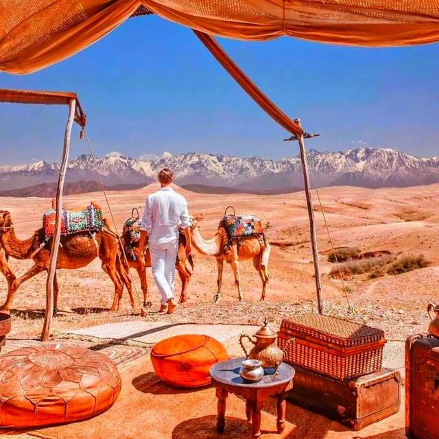 2 Days Desert Agafay and Atlas Mountains Trek From Marrakech - Highlights From Reviews