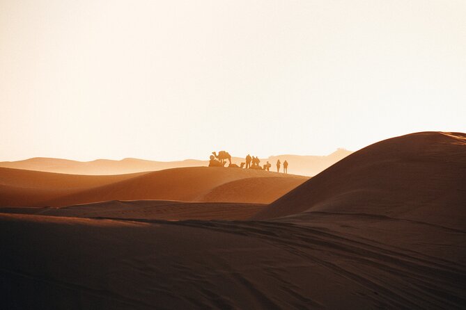 2 Days Desert Private Luxury Couples Retreat Camel Trek + Quad - Meeting and Pickup Details