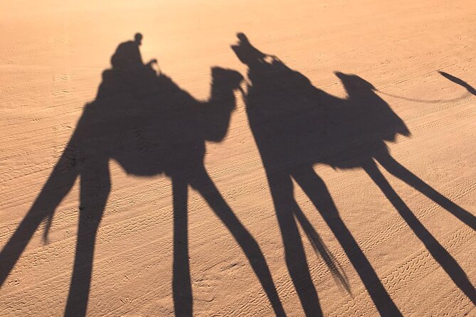 2-Days Desert Tours From Fes With Overnight in Luxury Camp - Participant Details