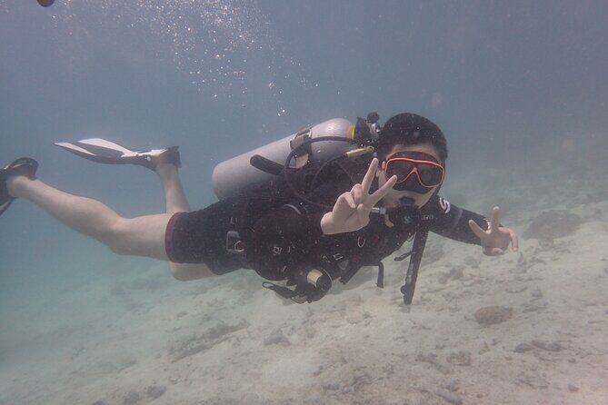 2 Days Diving Trip to Koh Tao Including 4 Dives and Accommodation - Accommodation and Comfort
