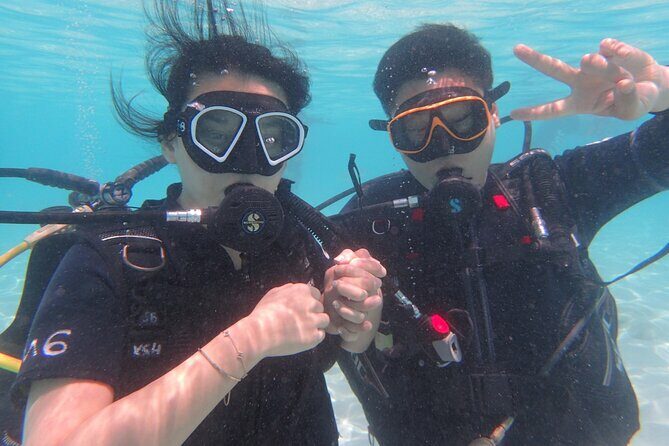 2 Days Diving Trip to Koh Tao Including 4 Dives and Accommodation - Final Thoughts: Who Should Consider This Tour?