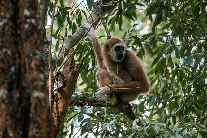 2 Days Ethical Jungle Trek in Sumatra - Introduction