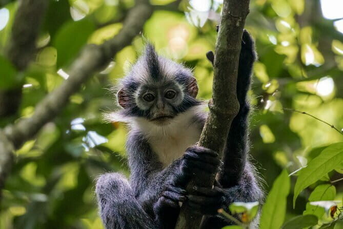 2 Days Ethical Jungle Trek in Sumatra - What the Reviews Say
