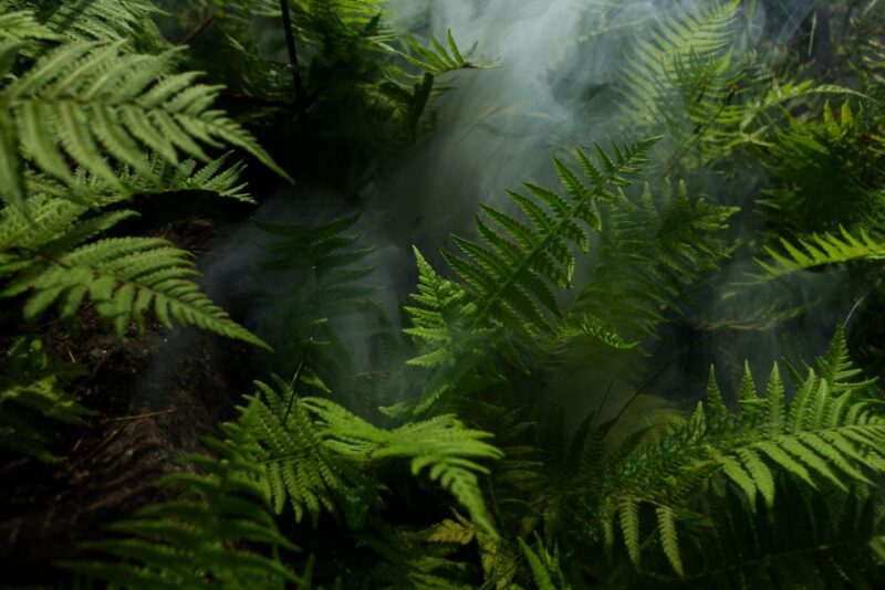 2 Days Expedition From Bukit Lawang: Connect With Nature - Itinerary Details
