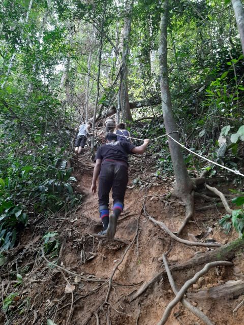 2 Days Expedition From Bukit Lawang: Connect With Nature - Wildlife Encounters