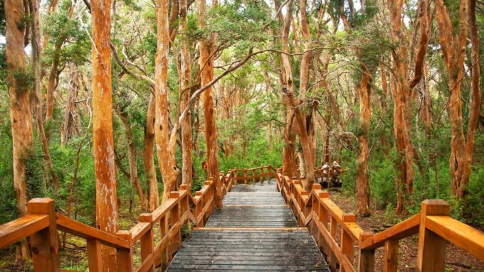 2-Days Experience Bariloche With Airfare From Buenos Aires - Excursions and Activities