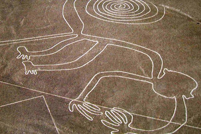 2 Days Experience in Paracas, Huacachina & Nazca Lines From Lima - Paracas National Reserve