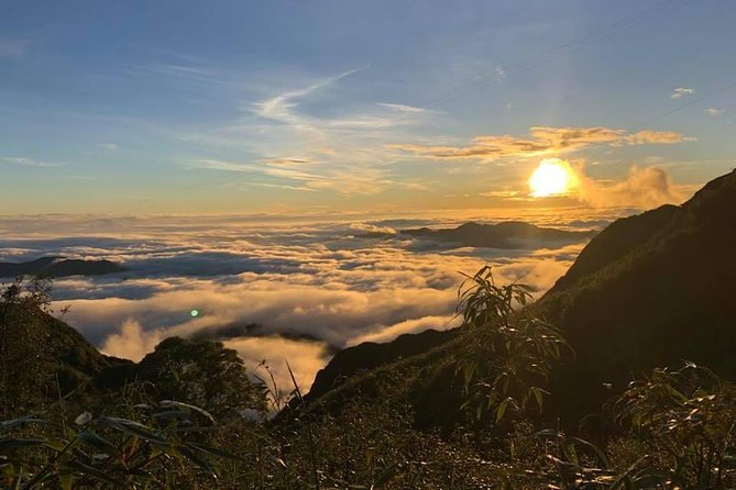 2 Days Fansipan Trekking - Highlights and Experiences