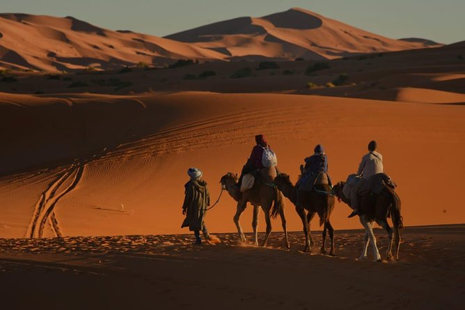 2 Days Fes Desert Trip Overnight Erg Chebbi End up Fes/Marrakech - Inclusions