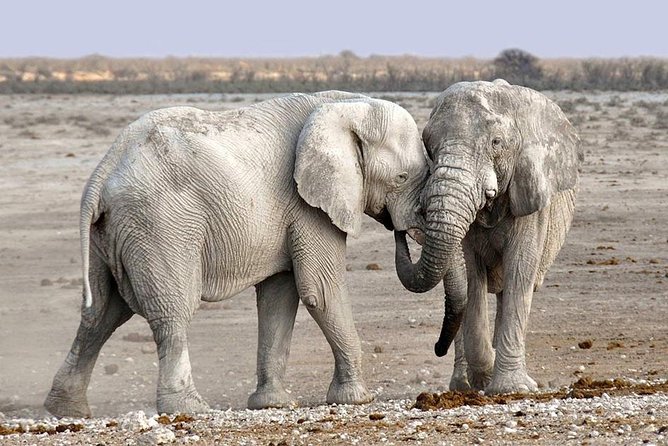 2 Days Group Joining Camping Safari Tarangire Park and Ngorongoro Crater - Inclusions