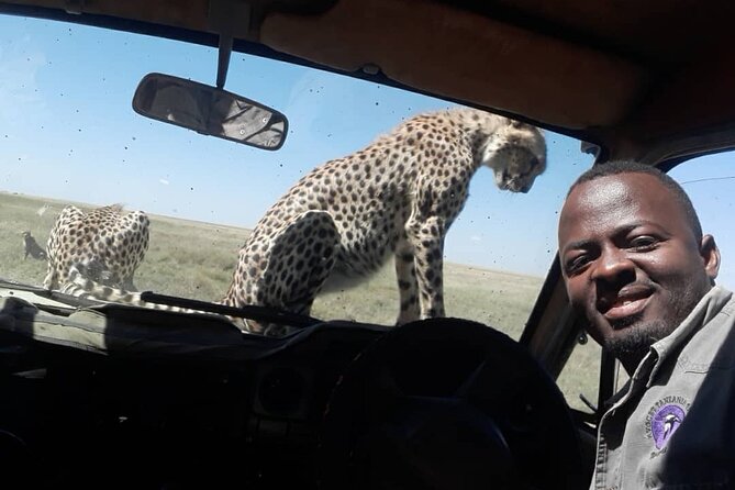 2 Days Group Joining Camping Safari Tarangire Park and Ngorongoro Crater - Additional Information