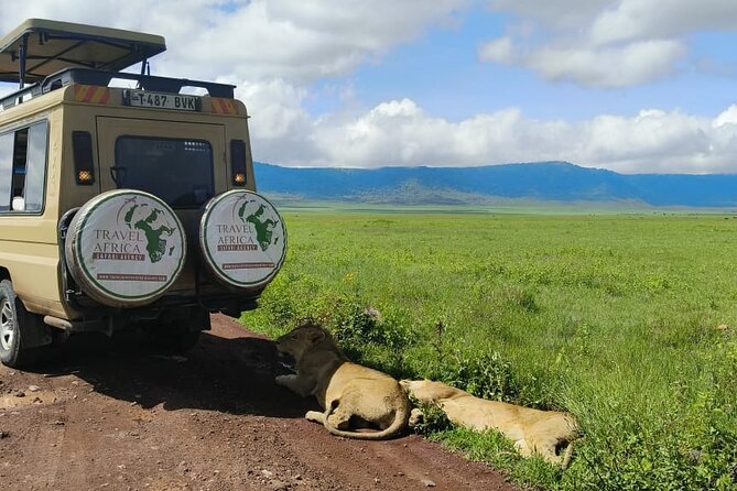 2 Days Group to Tarangire & Ngorongoro Lodge Safari Tanzania - Personalized Experience