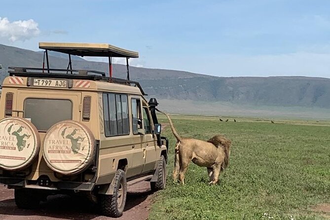 2 Days Group to Tarangire & Ngorongoro Lodge Safari Tanzania - Hassle-free Transport