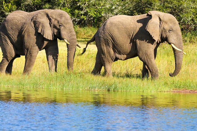 2 Days in Akagera National Park - Key Points