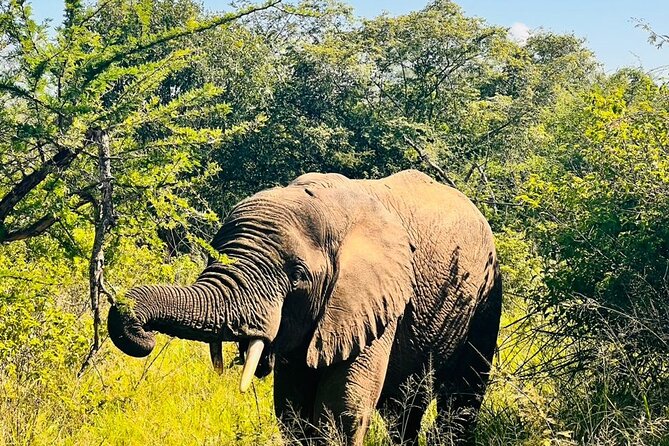 2 Days in Akagera National Park - Pricing and Reviews