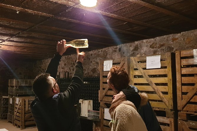 2 Days in Champagne - Cellars, Tastings and Winemakers Meetings - Customizing Your Champagne Experience