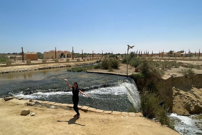 2 Days in Giza, Cairo and Safari in Faiyum - Meeting and Pickup
