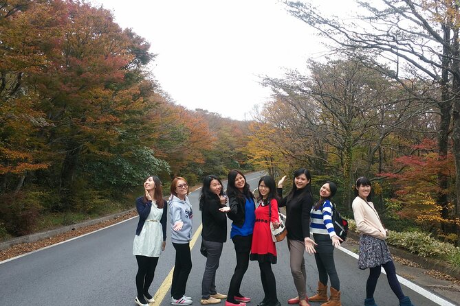 2 Days Jeju Island Private Taxi Tour (East/West of Jeju Island ) - Customer Testimonial
