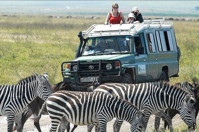 2 Days Joined Group Tarangire and Ngorongoro Crater National Park - Meeting and Pickup Information