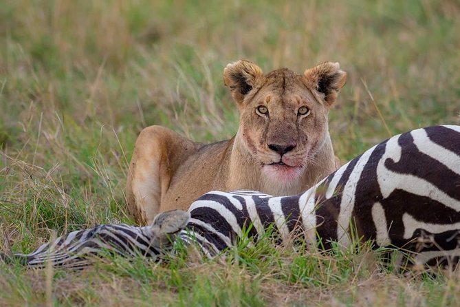 2 Days Joined Group Tarangire and Ngorongoro Crater National Park - Reviews and Ratings