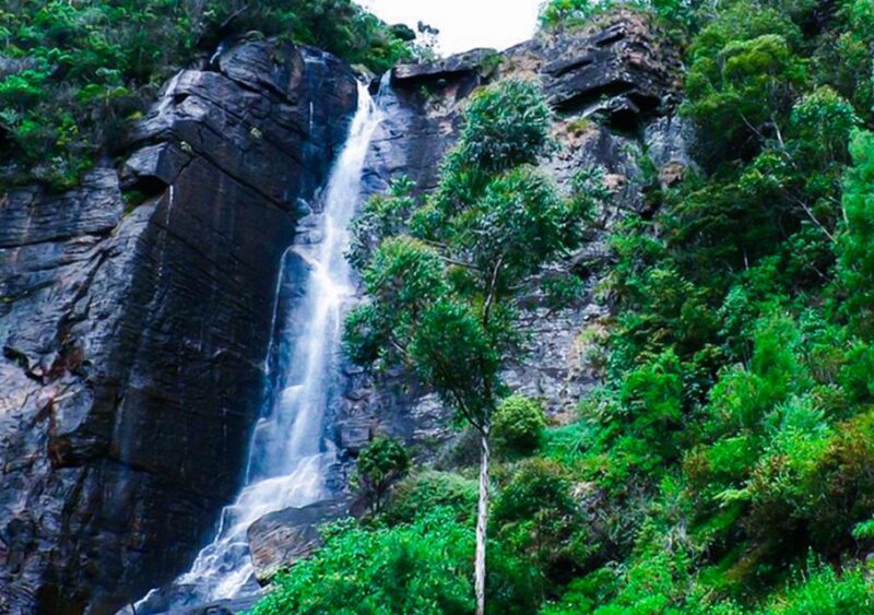 2 Days -Kandy and Nuwara Eliya Tour From Colombo - Itinerary Details