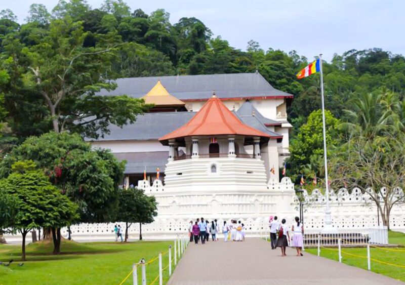 2 Days -Kandy and Nuwara Eliya Tour From Colombo - Day 1 Highlights