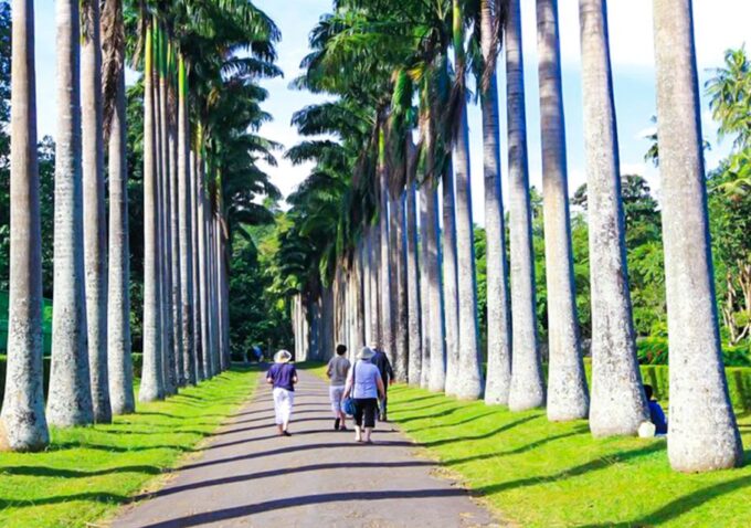 2 Days -Kandy and Nuwara Eliya Tour From Colombo - Kandy City Tour