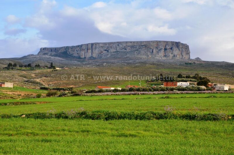 2 Days Kef, Kesra & Makthar - Discover Makthar Archaeological Site