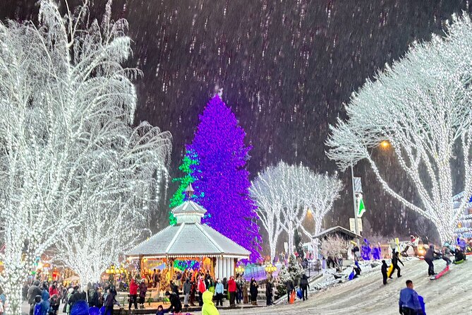 2 Days Leavenworth Christmastown Tour From Vancouver (Chn&Eng) - Itinerary Overview
