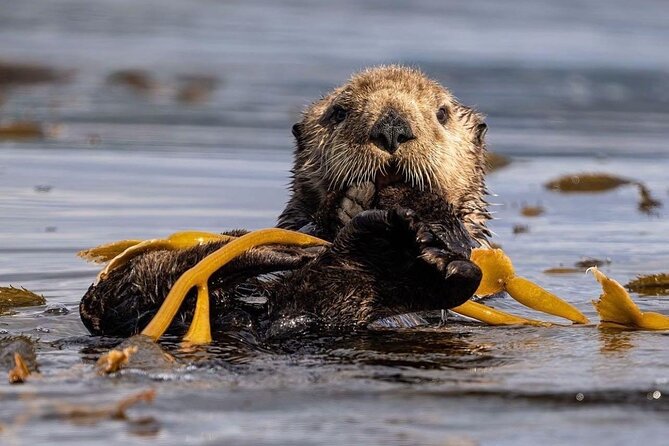 2 Days Luxury All-Inclusive Charter Boat to Explore Sitka Waters - Exploring the Sitka Waterways