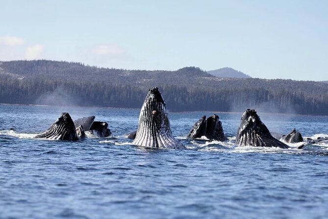 2 Days Luxury All-Inclusive Charter Boat to Explore Sitka Waters - Paddle and Fishing Activities