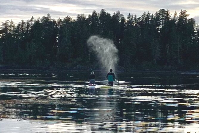 2 Days Luxury All-Inclusive Charter Boat to Explore Sitka Waters - Frequently Asked Questions