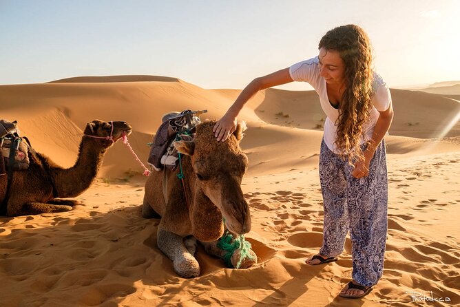 2 Days Luxury Desert Trip [Fes to Fes or Marakech] - Pickup and Meeting Information