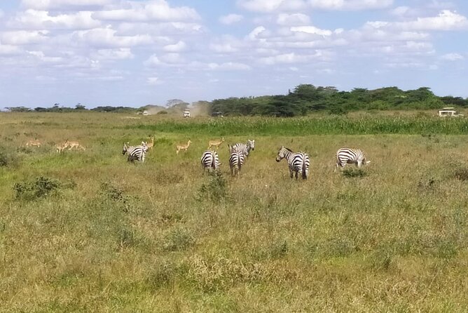 2 Days Maasai Mara National Reserve Safari From Nairobi - Pricing and Cancellation Policy