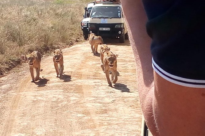 2 Days Maasai Mara National Reserve Safari From Nairobi - Guest Reviews and Feedback