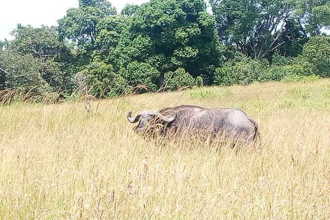 2 Days Maasai Mara National Reserve Safari From Nairobi - Accommodation Details