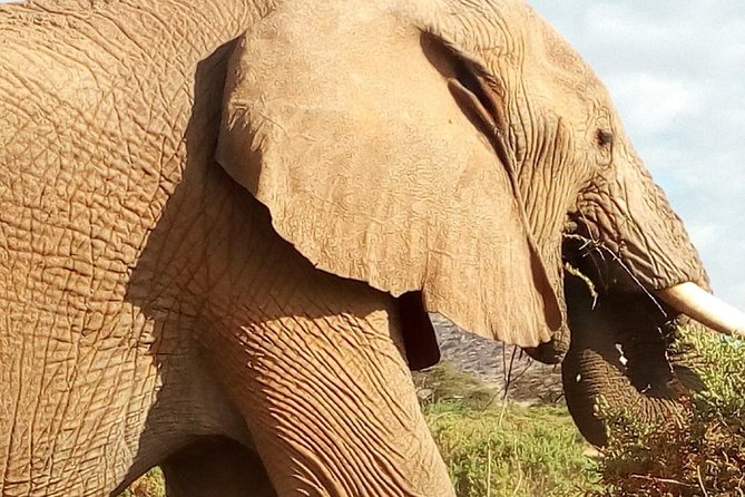 2 Days Maasai Mara National Reserve Safari From Nairobi - Optional Add-ons