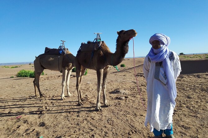 2 Days Marrakech to Zagora Desert Trip - Booking and Cancellation Policy